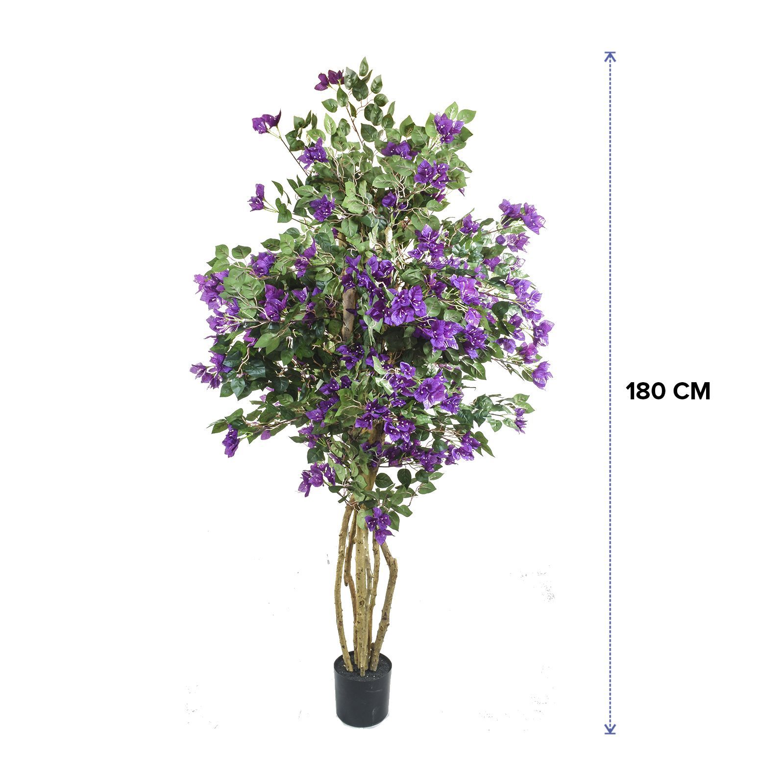 142339-AZALEA190-dimensiones.jpg