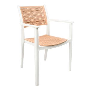 Silla Plástica Ratan Reforzada Blanco