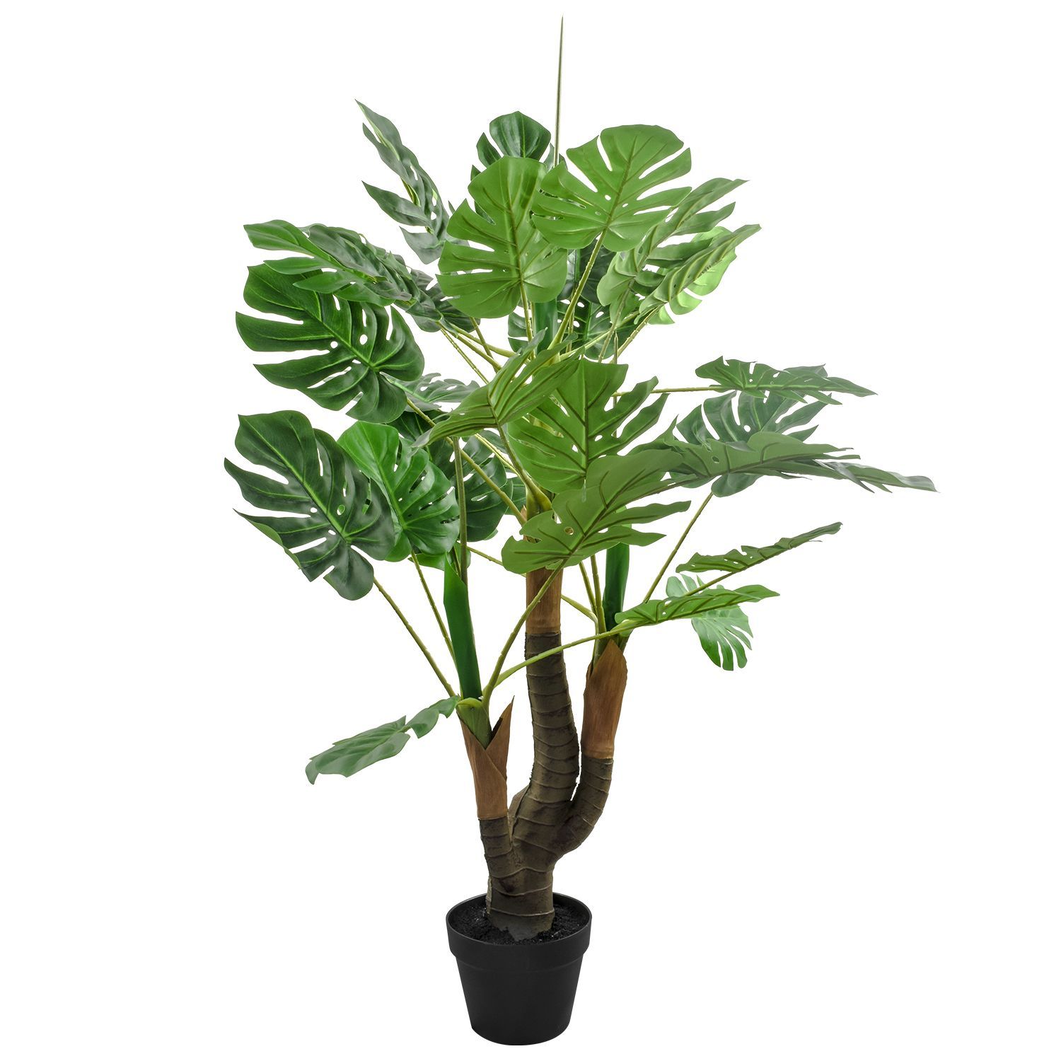 180002-MONSTERA115-2.jpg
