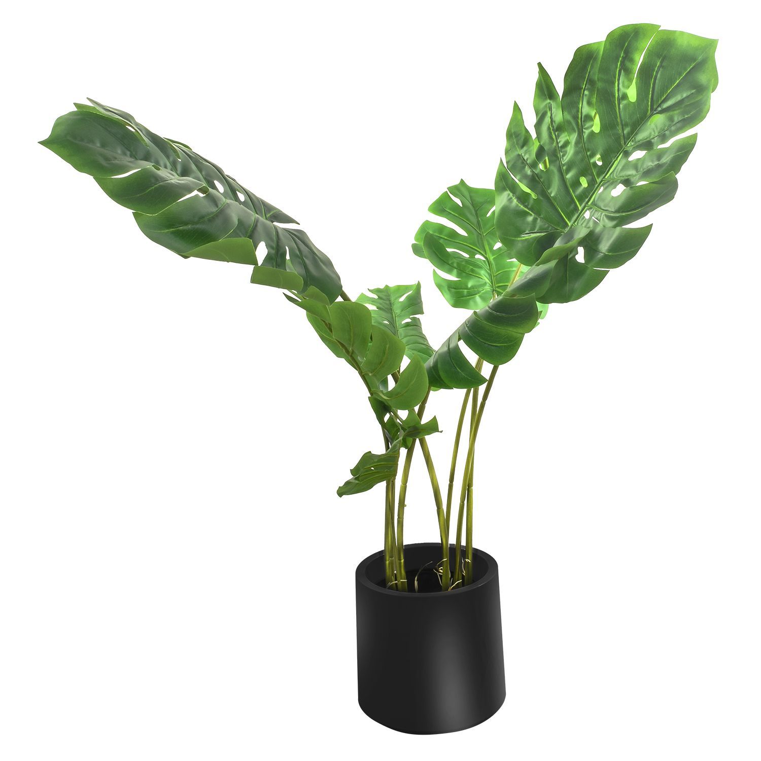 226508-MONSTERA120-2.jpg