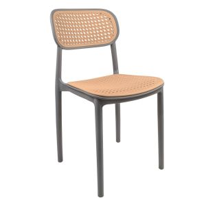 Silla Plastica Ratan