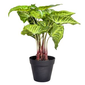 Cala Miniatura Planta Artificial 40 CM con Maceta Base