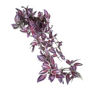Planta Colgante Artificial Forraje Morado 40 CM