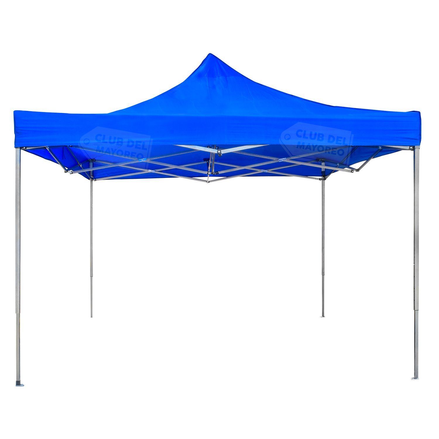 739759-TOLDO-2.jpg