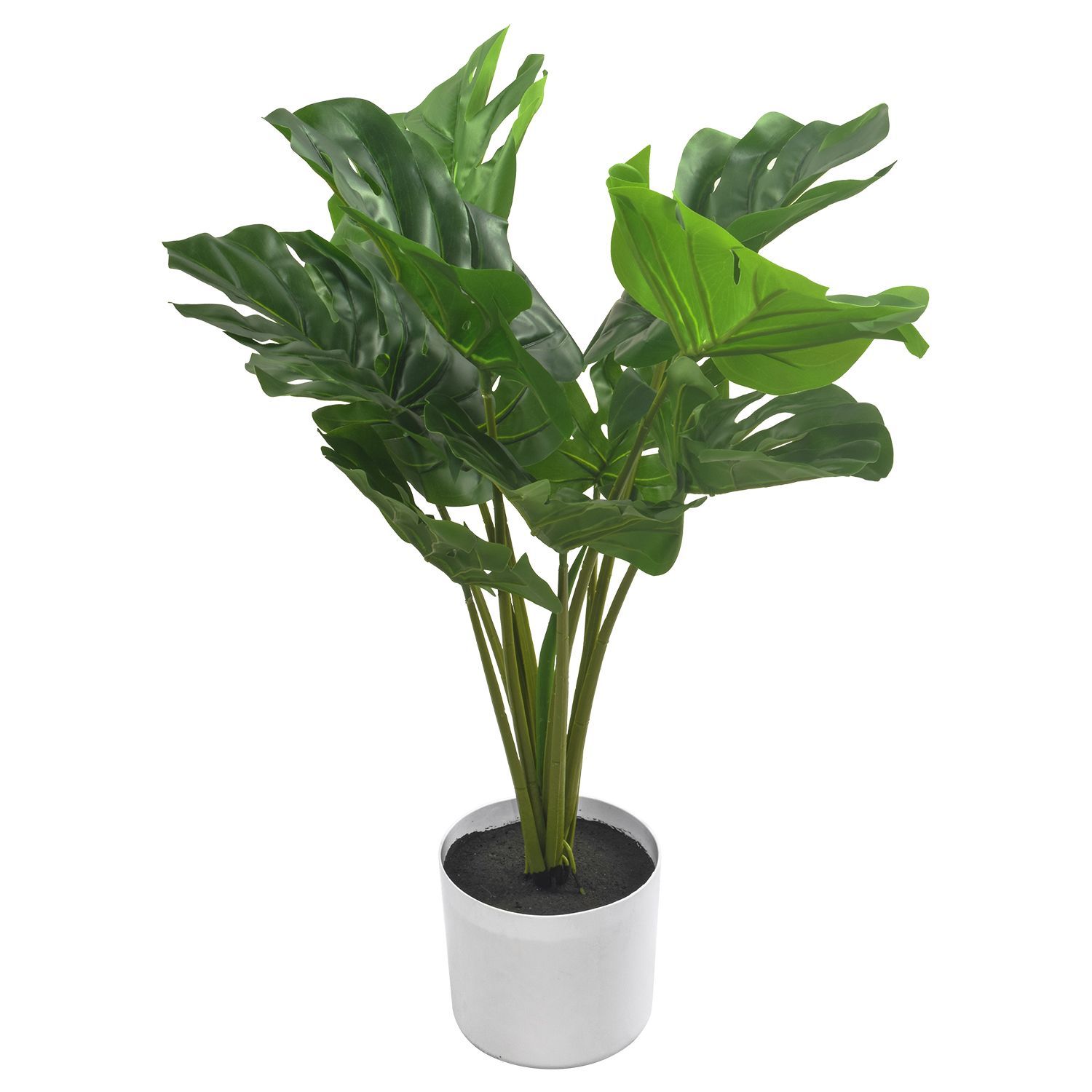 786247-MONSTERA60-2.jpg