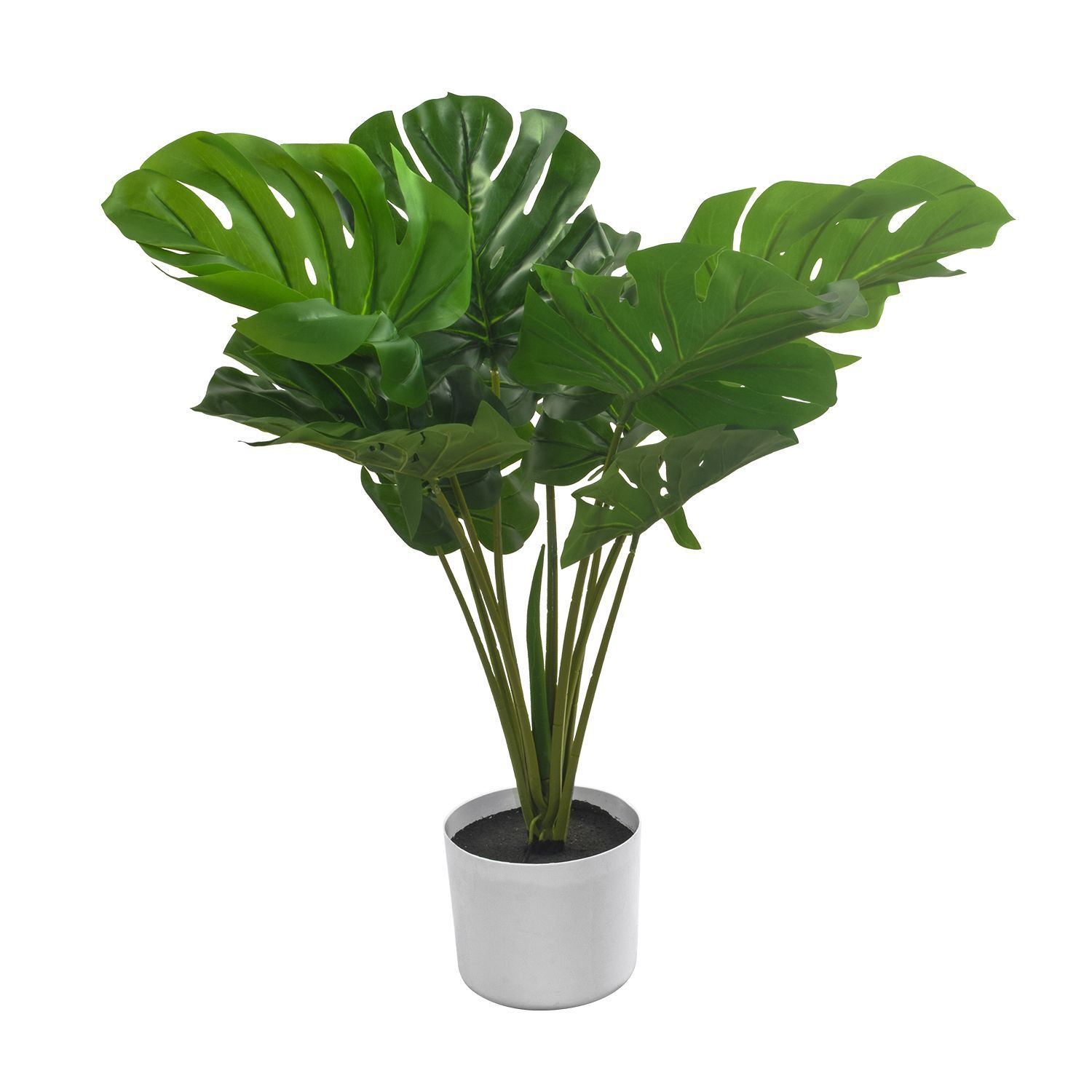 890612-MONSTERA60-3.jpg