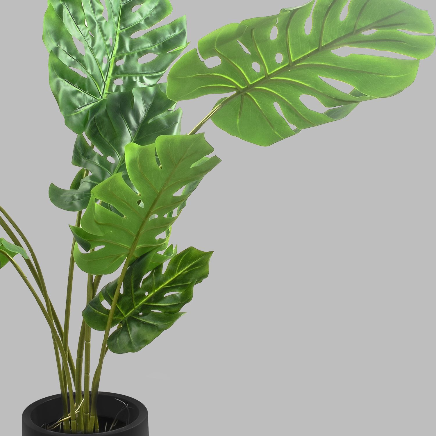 91388-MONSTERA120-3.jpg