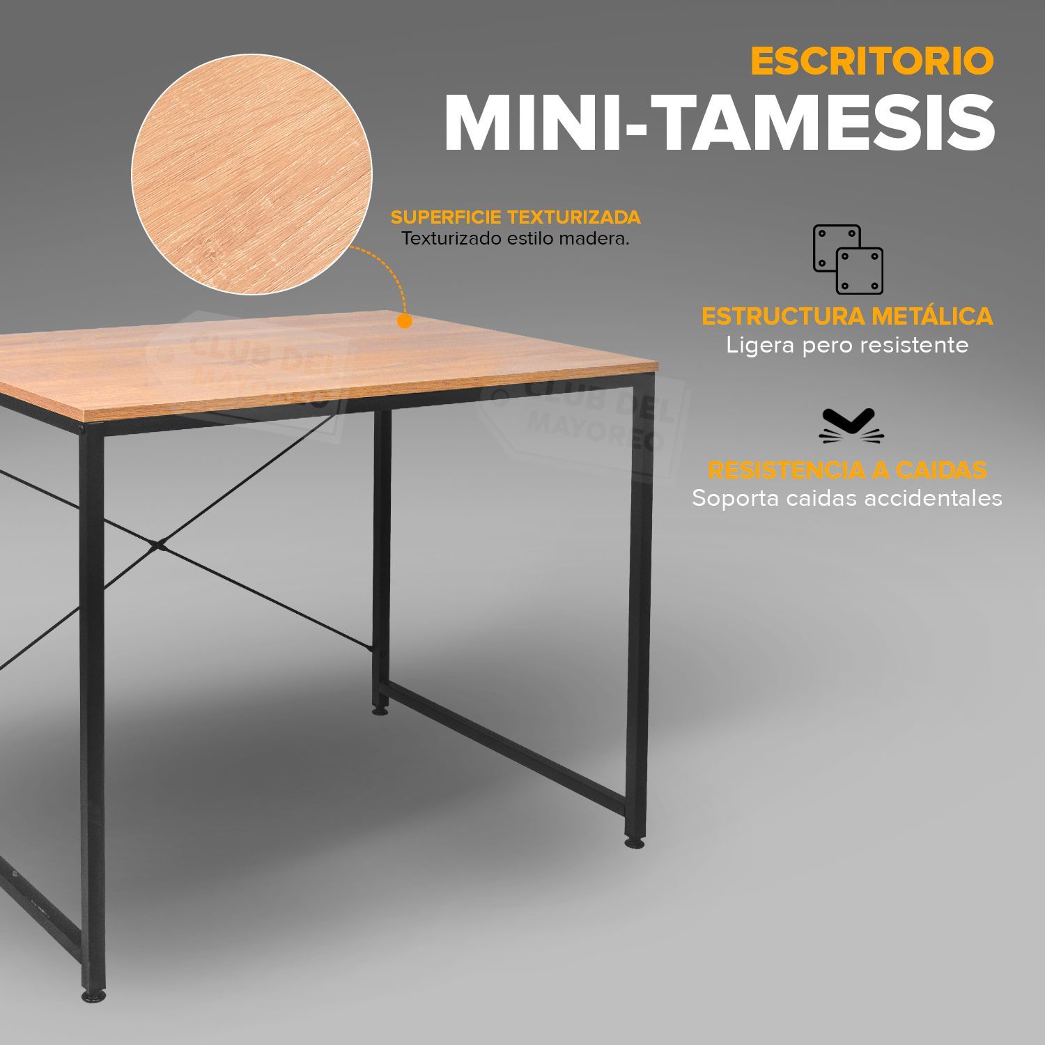 99856-MINI-TAMESIS-6.jpg